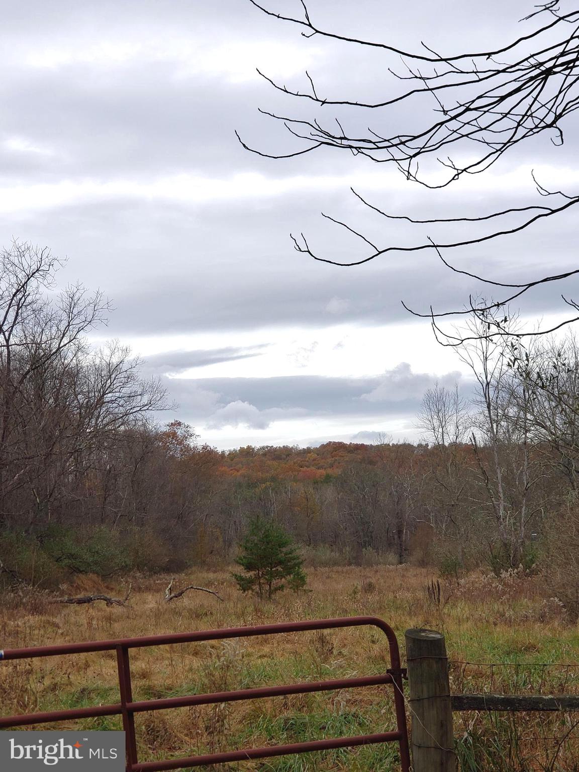 Lot 7 Cattail Road Winchester, VA 22603 - Photo 8 of 23 Gallery Image 8