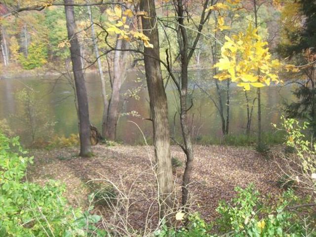 219-230 Kinzua Road Warren, PA 16365 - Photo 1 of 3 Gallery Image 1