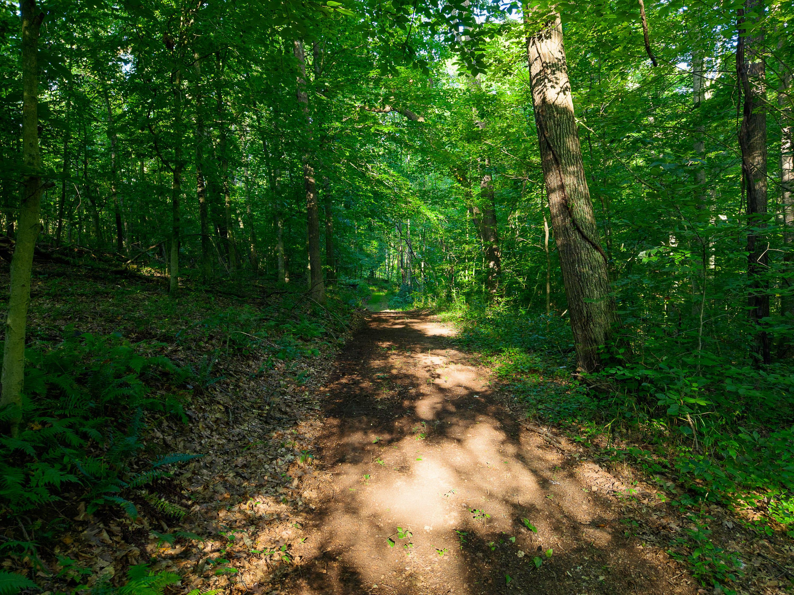 13312 Jake Tom Road Logan, OH 43138 - Photo 27 of 55 DJI_20260805084606_0153_D
