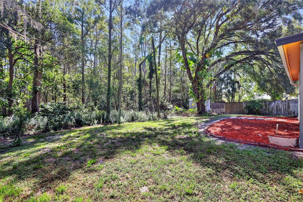 16133 Ravendale Drive Tampa, FL 33618 - Photo 7 of 36