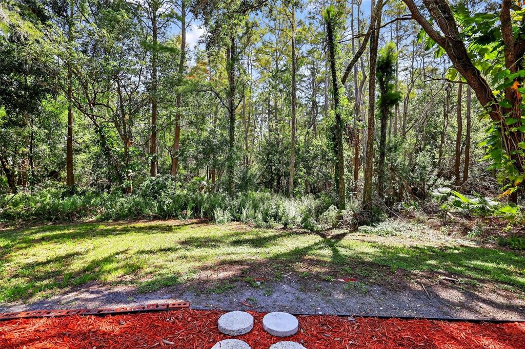 16133 Ravendale Drive Tampa, FL 33618 - Photo 8 of 36