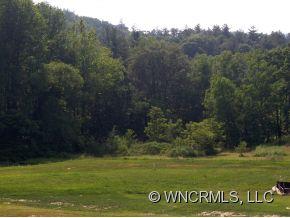 882 Bee Tree Road, Unit 6 Swannanoa, NC 28778 - Photo 2 of 5 Gallery Image 2