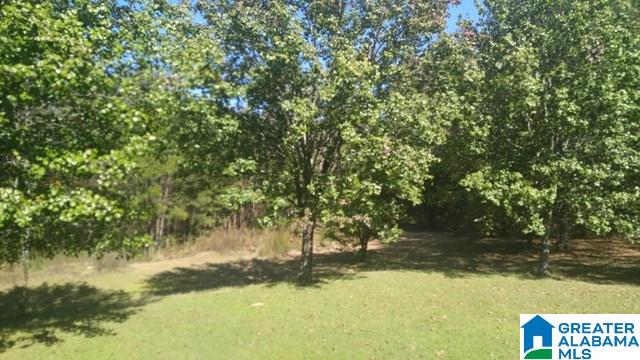 4208 Blue Cutt Road Pell City, AL 35128 - Photo 24 of 29