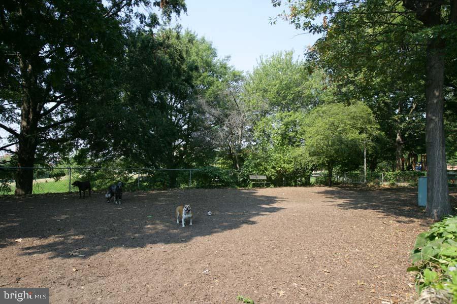 955 26th Street Northwest, Unit 707 Washington, DC 20037 - Photo 17 of 20 a view of a road with trees in the background