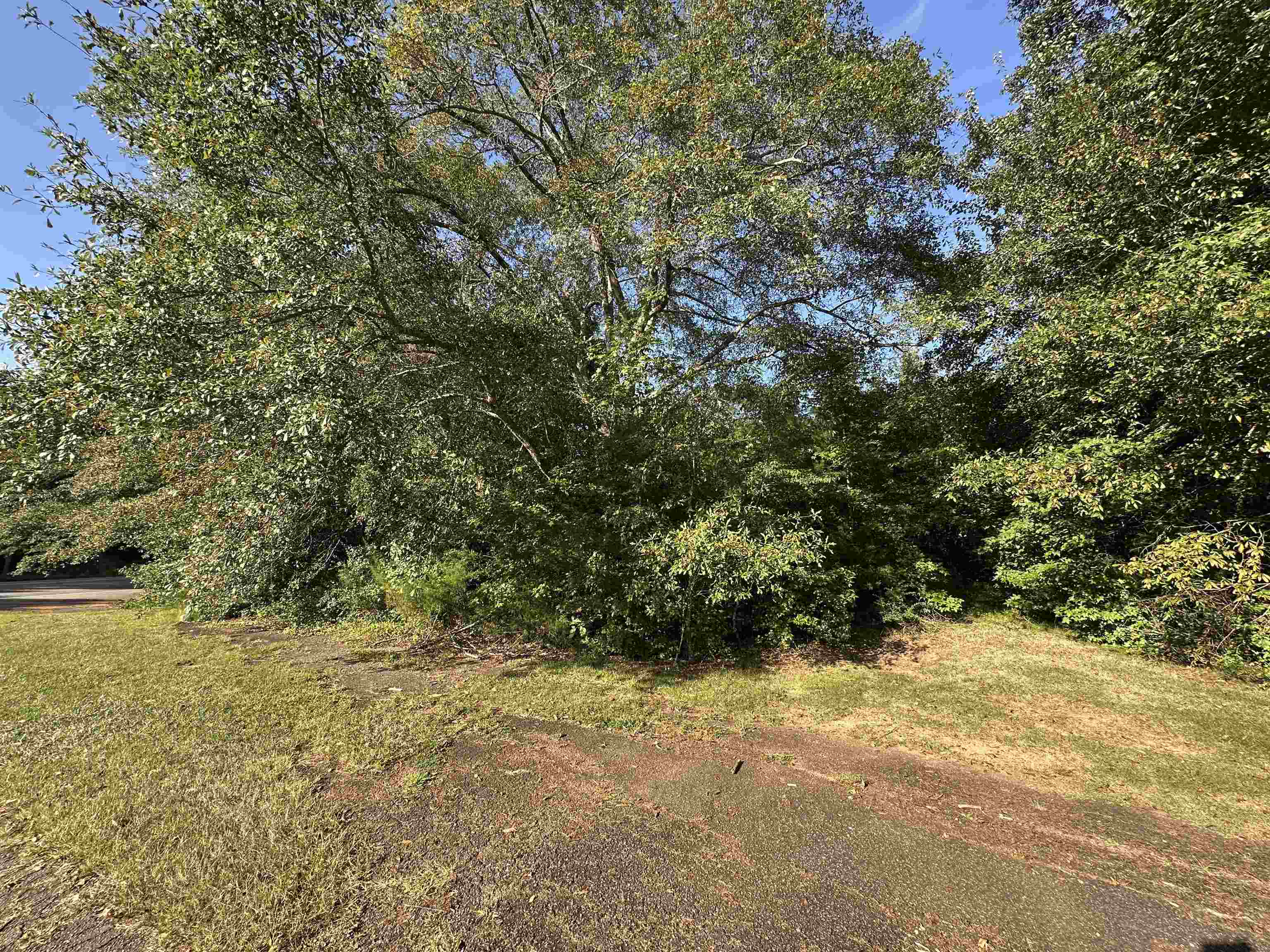 107 Brooklyn Church Road Chesnee, SC 29323 - Photo 3 of 4