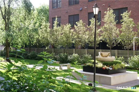 a view of a garden with plants