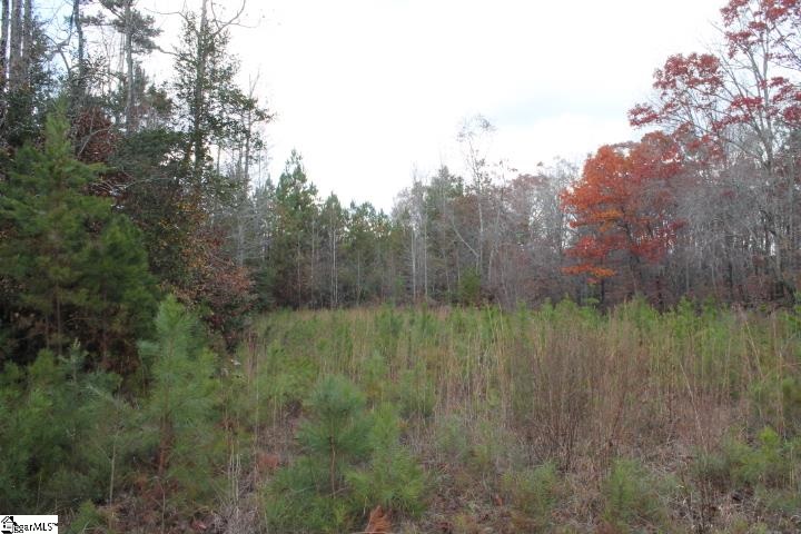 0 Sally Reed Road, Unit LOT 26 Belton, SC 29627 - Photo 20 of 31