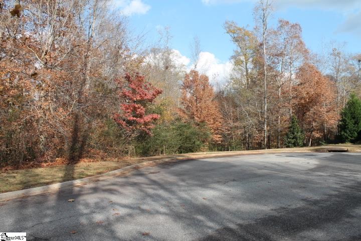 0 Sally Reed Road, Unit LOT 26 Belton, SC 29627 - Photo 25 of 31