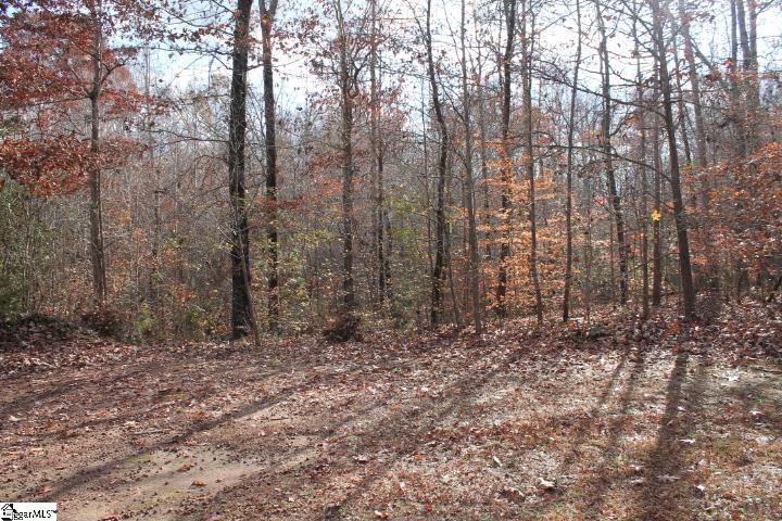 0 Sally Reed Road, Unit LOT 26 Belton, SC 29627 - Photo 26 of 31