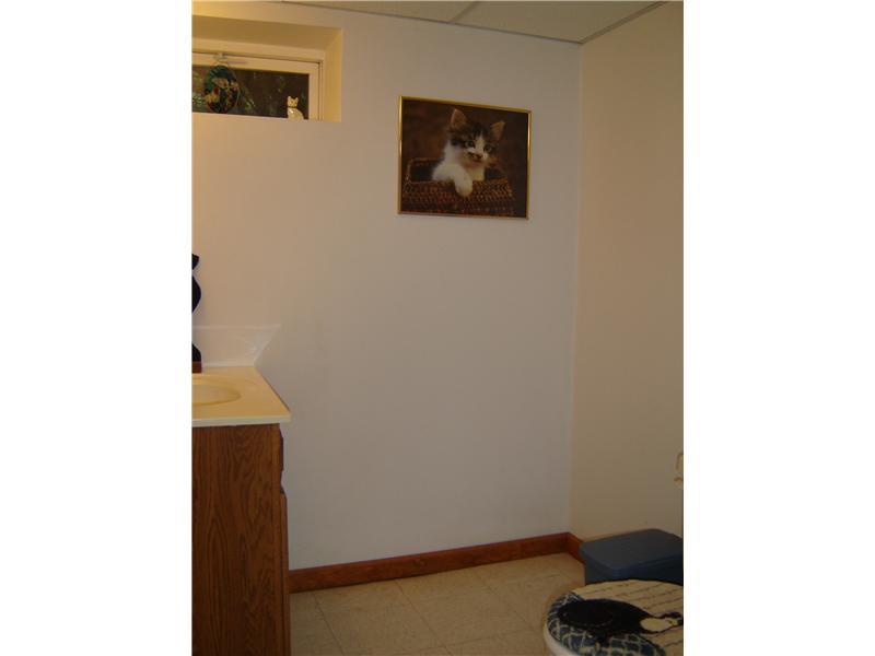 2817 McCully Road Allison Park, PA 15101 - Photo 22 of 23 Other. Downstairs powder room has room for a shower.