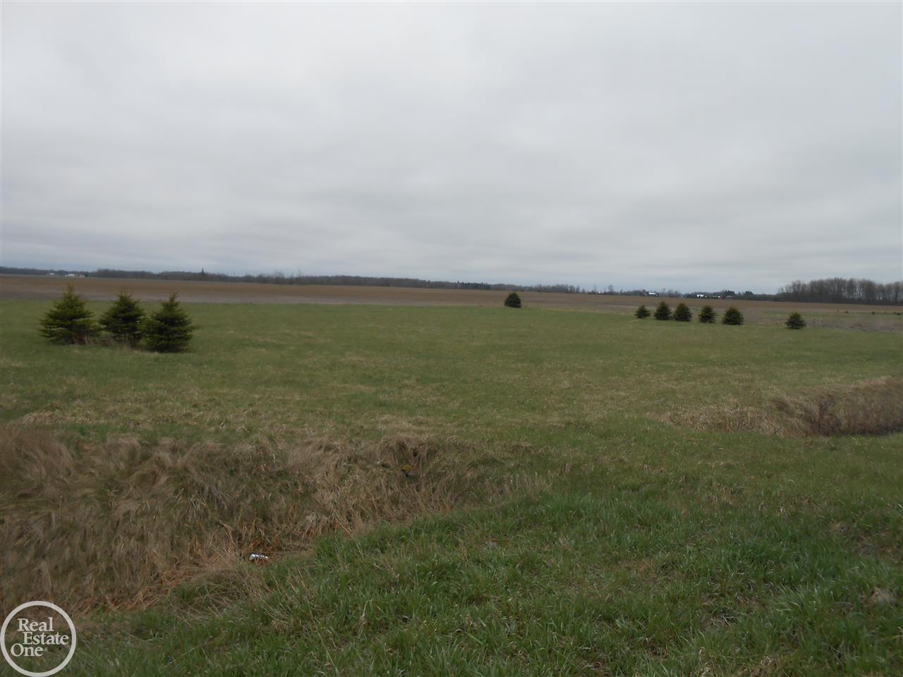East Frenchline Road Sandusky, MI 48471 - Photo 1 of 3