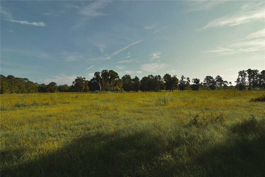 4802 Northwest 50th Road Starke, FL 32091 - Photo 64 of 75 Gallery Image 64