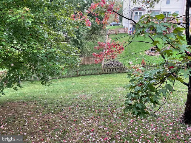 a view of a garden with a tree in the background