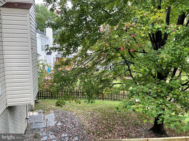 a view of a yard with a tree