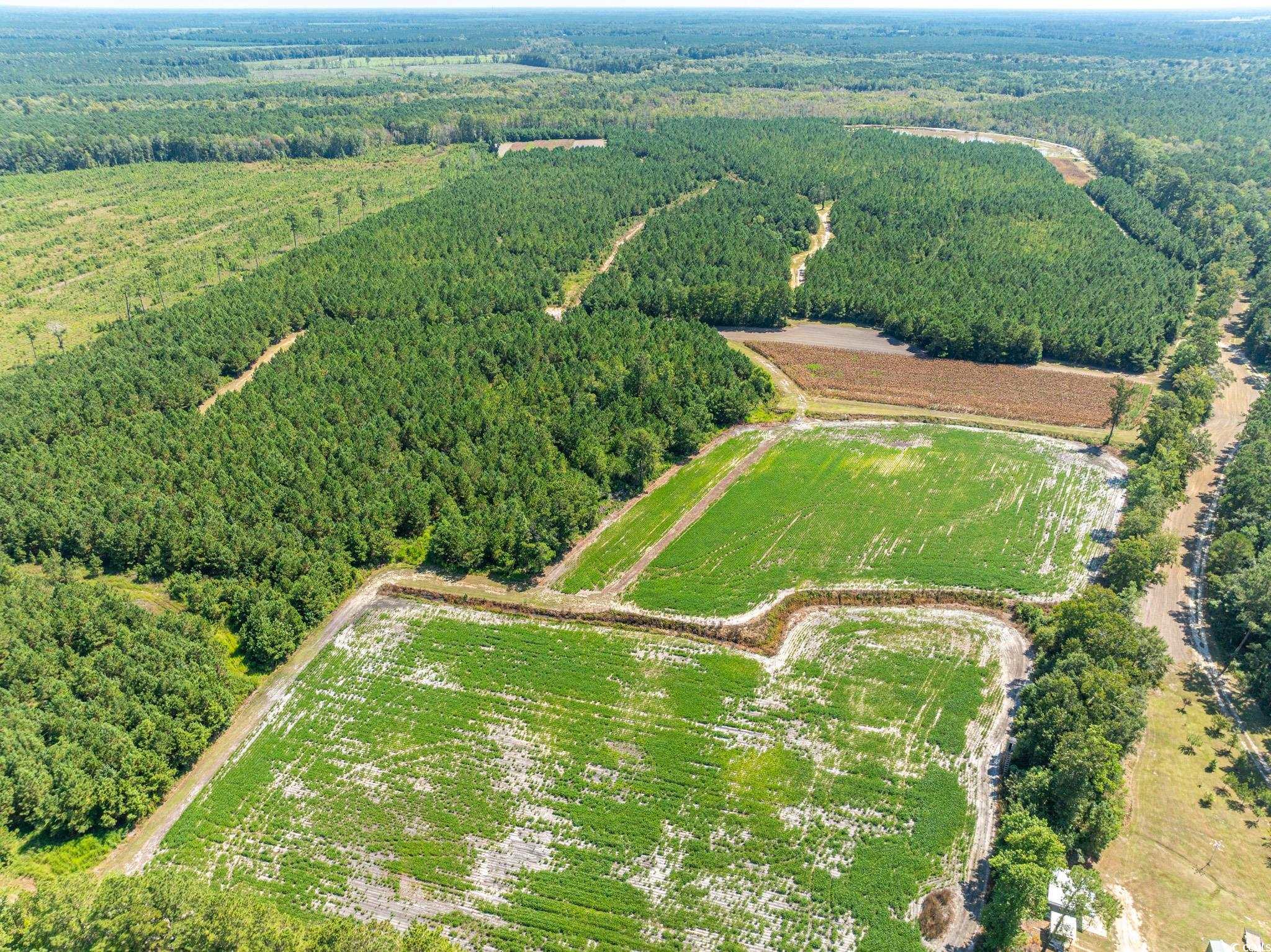 0 No Where Road Clarendon, NC 28432 - Photo 18 of 22 Aerial view of property and surrounding area with rural landscape and a forest
