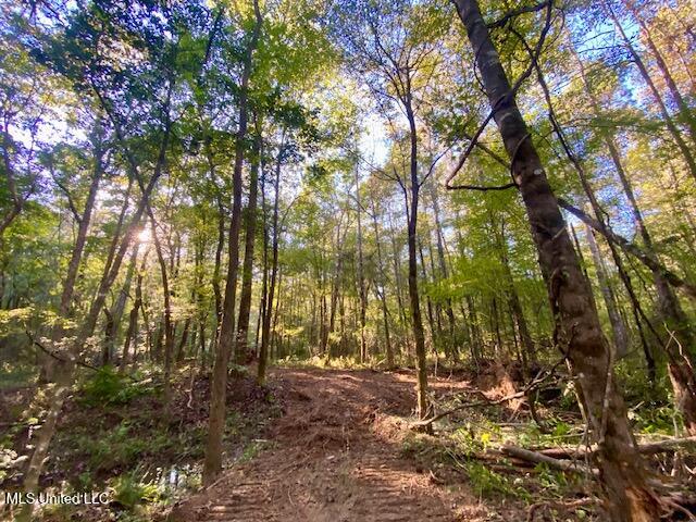 Quinlivan Road Magnolia, MS 39652 - Photo 11 of 23 IMG_7322 (1)