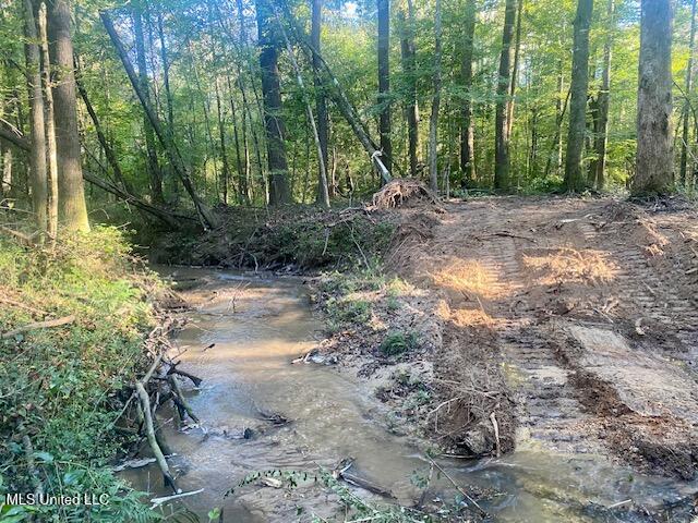 Quinlivan Road Magnolia, MS 39652 - Photo 12 of 23 IMG_7321 (1)