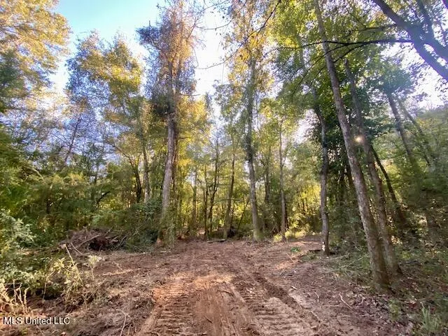 $247,670 | Quinlivan Road, Magnolia, MS 39652