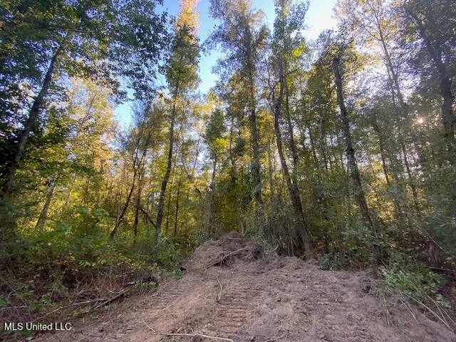 $247,670 | Quinlivan Road, Magnolia, MS 39652