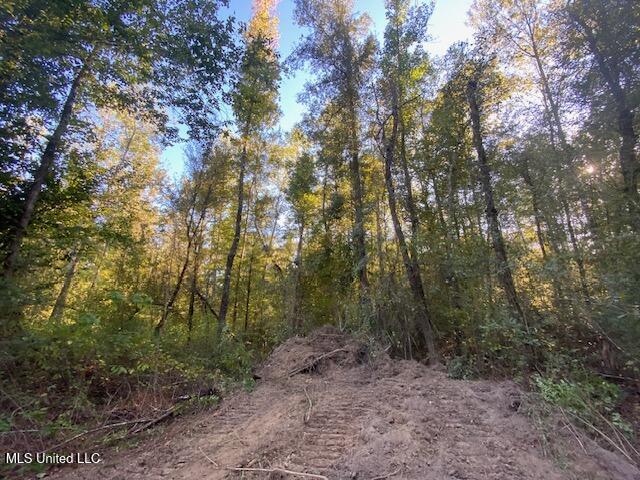 Quinlivan Road Magnolia, MS 39652 - Photo 14 of 23 IMG_7317 (1)