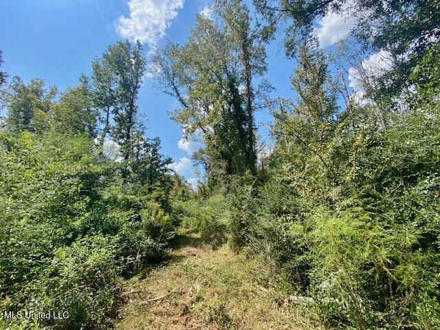 Quinlivan Road Magnolia, MS 39652 - Photo 16 of 23 IMG_6629