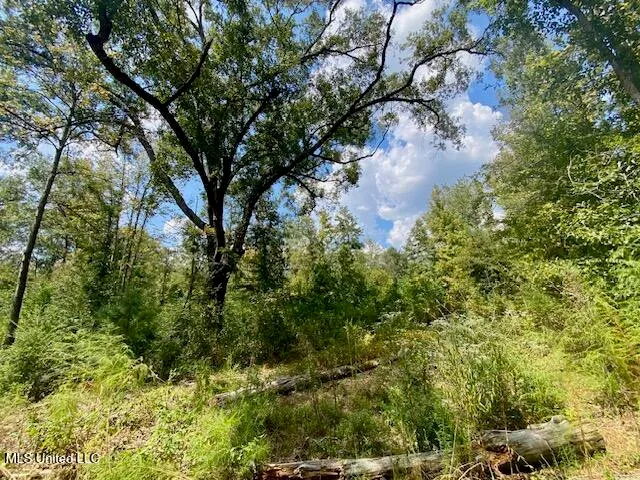 $247,670 | Quinlivan Road, Magnolia, MS 39652