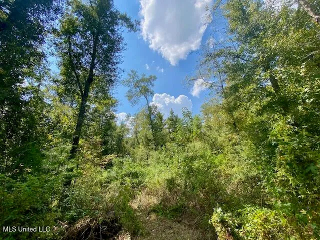 $247,670 | Quinlivan Road, Magnolia, MS 39652