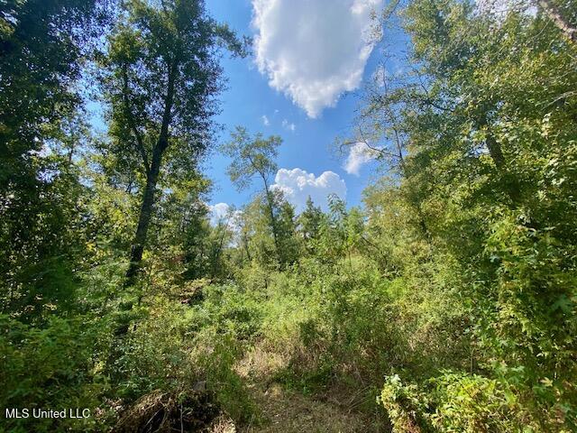 Quinlivan Road Magnolia, MS 39652 - Photo 20 of 23 IMG_6633