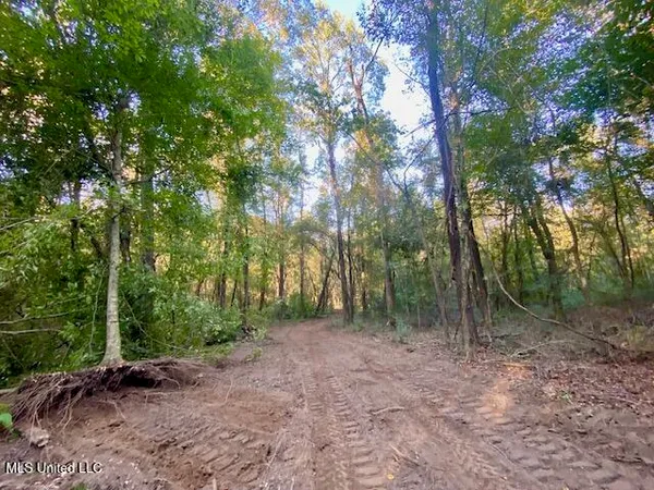 $247,670 | Quinlivan Road, Magnolia, MS 39652