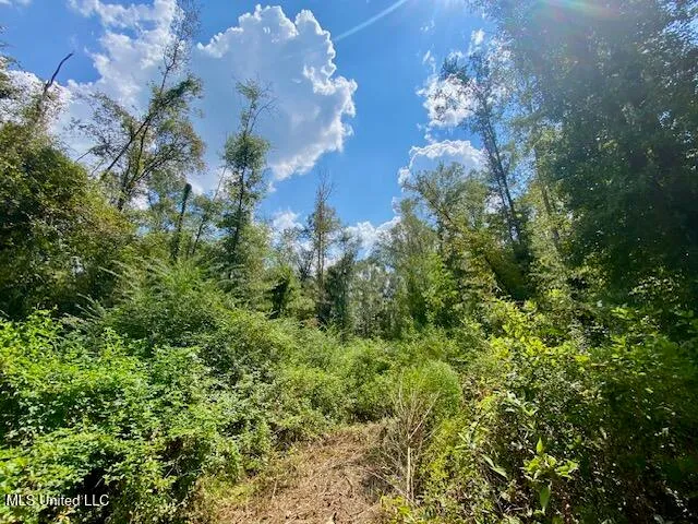 $247,670 | Quinlivan Road, Magnolia, MS 39652