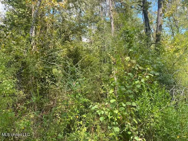 $247,670 | Quinlivan Road, Magnolia, MS 39652