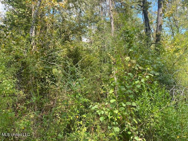 Quinlivan Road Magnolia, MS 39652 - Photo 22 of 23 IMG_6635