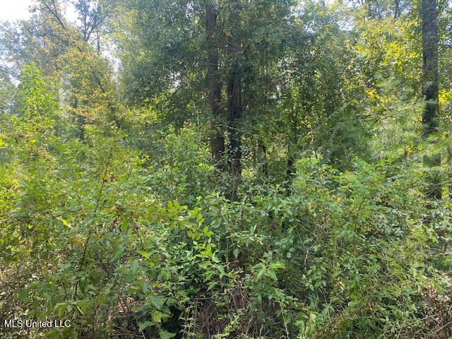 Quinlivan Road Magnolia, MS 39652 - Photo 23 of 23 IMG_6636