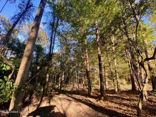 Quinlivan Road Magnolia, MS 39652 - Photo 3 of 23 IMG_7330