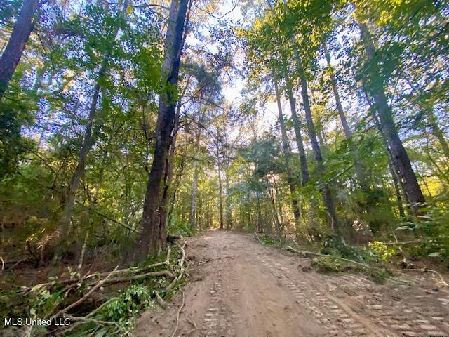 Quinlivan Road Magnolia, MS 39652 - Photo 4 of 23 IMG_7329
