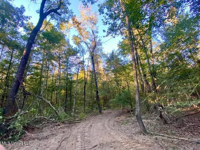 $247,670 | Quinlivan Road, Magnolia, MS 39652