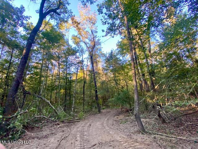 Quinlivan Road Magnolia, MS 39652 - Photo 5 of 23 IMG_7328