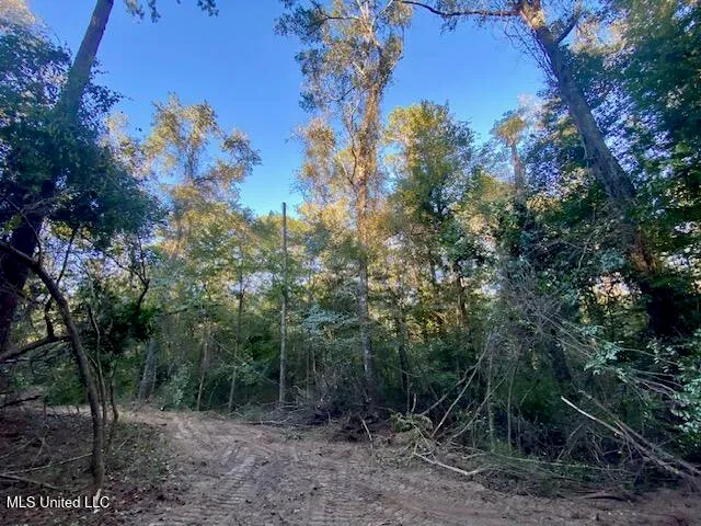 $247,670 | Quinlivan Road, Magnolia, MS 39652