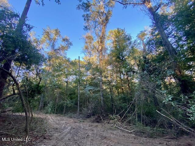 Quinlivan Road Magnolia, MS 39652 - Photo 6 of 23 IMG_7327