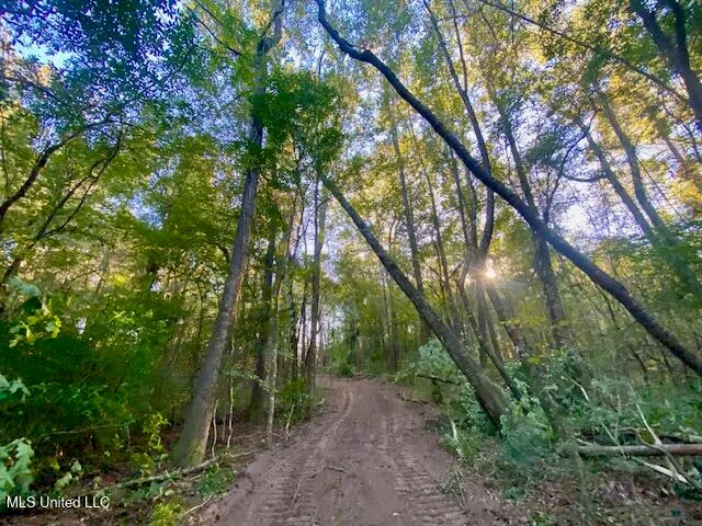 $247,670 | Quinlivan Road, Magnolia, MS 39652