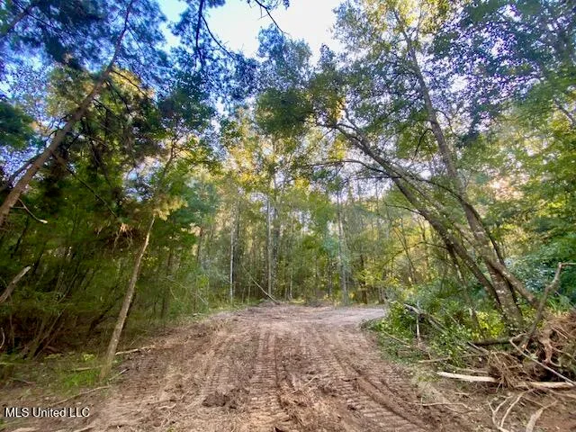 $247,670 | Quinlivan Road, Magnolia, MS 39652