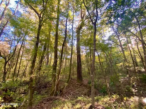$247,670 | Quinlivan Road, Magnolia, MS 39652