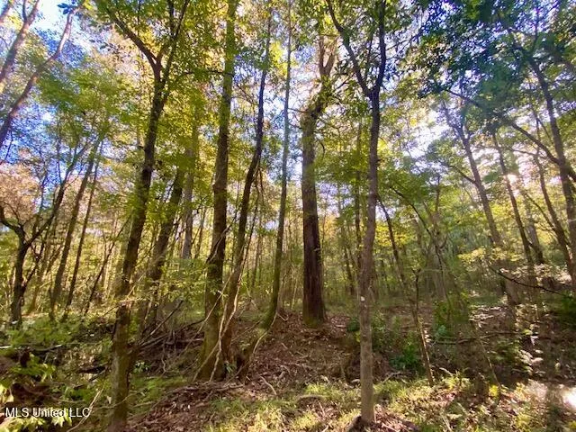 $247,670 | Quinlivan Road, Magnolia, MS 39652