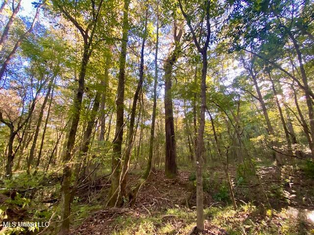 Quinlivan Road Magnolia, MS 39652 - Photo 10 of 23 IMG_7323 (1)