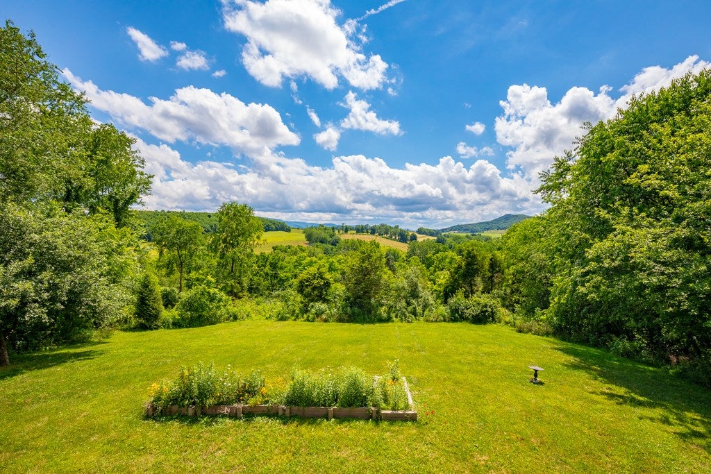3632 Cedar Springs Road Rural Retreat, VA 24368 - Photo 25 of 68 Gallery Image 25