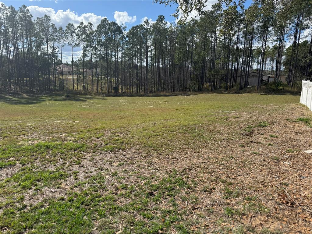 14520 Lost Lake Road Clermont, FL 34711 - Photo 14 of 54 a view of a yard with a house