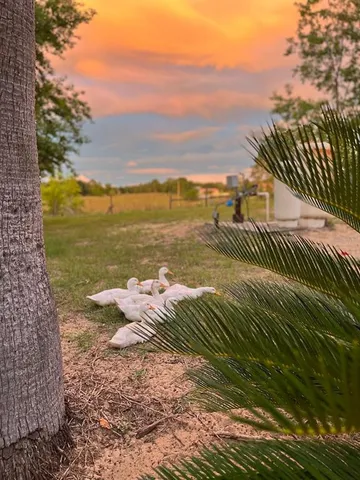 $1,299,000 | 14520 Lost Lake Road, Clermont, FL 34711