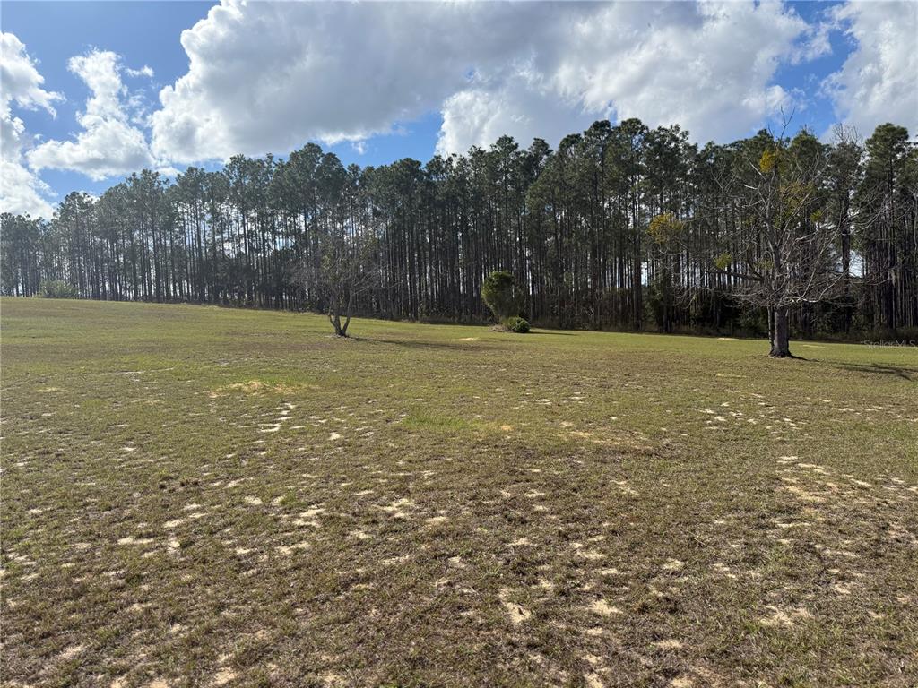 14520 Lost Lake Road Clermont, FL 34711 - Photo 7 of 54 a view of a field with trees in the background