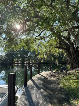 a view of backyard with tree