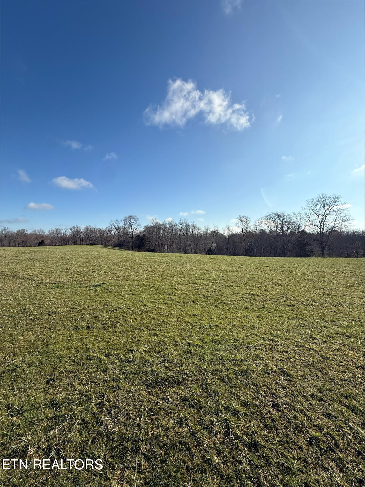9045 Fox Hill Road Baxter, TN 38544 - Photo 5 of 9 processed-8BC9D535-0136-42DF-A512-A2AA9C